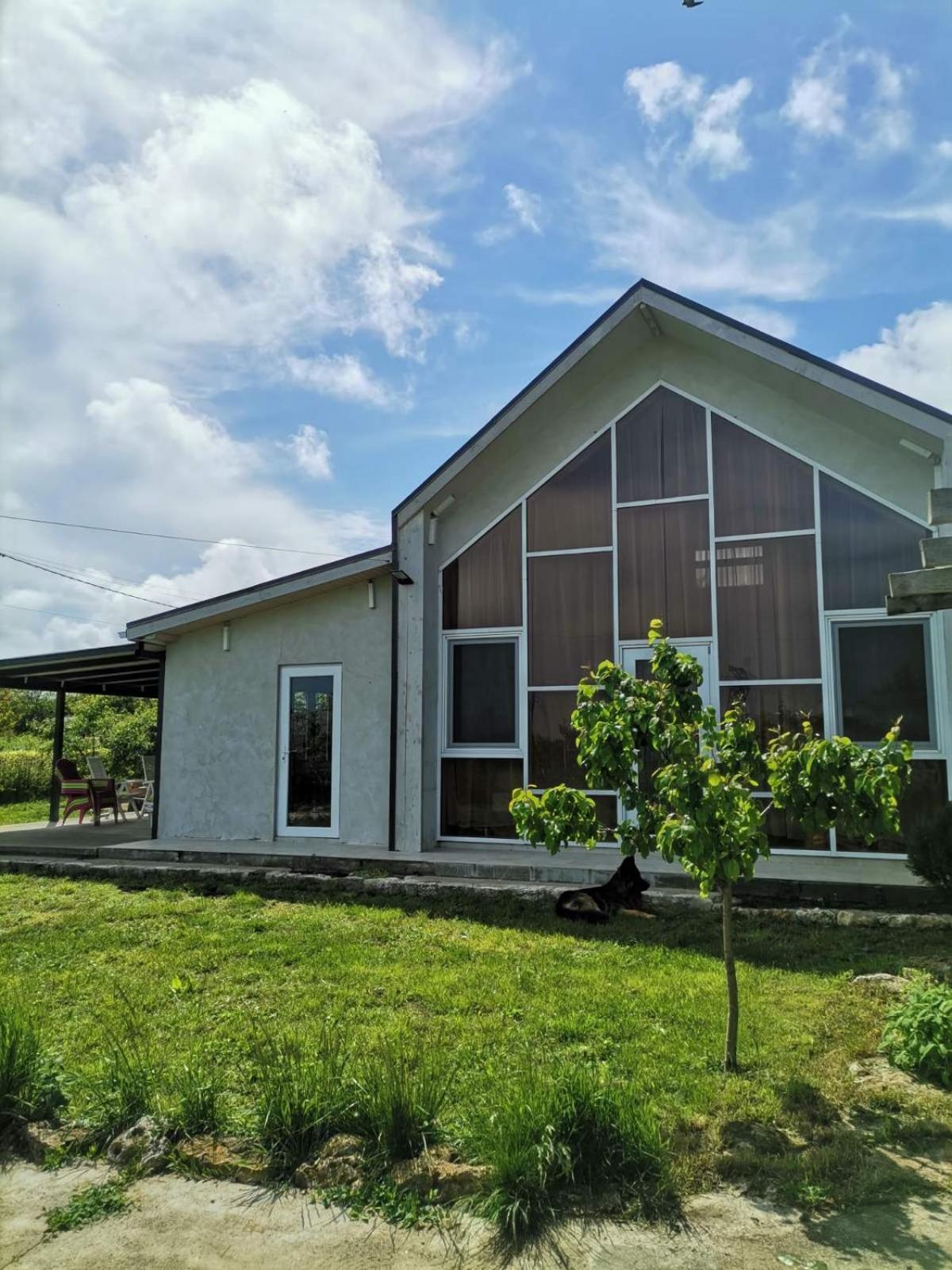 Улица Лазурна Hotell Tyulenovo Rom bilde